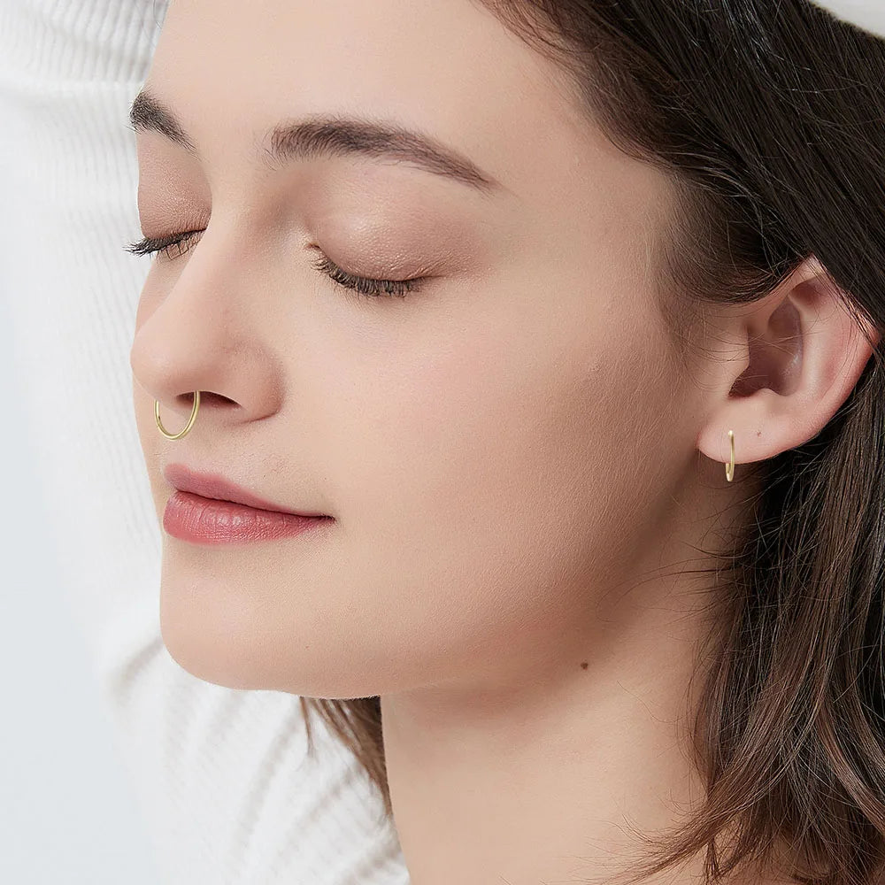 Stainless Steel Nose and Hoop Earrings.