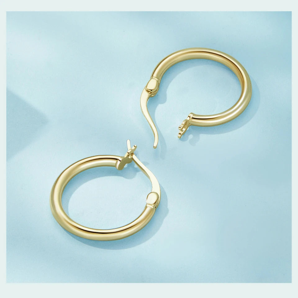 Silver Hoop Earrings, 14K White Gold Plated